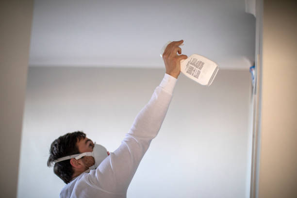 Office Mold Removal Services in Port Carbon, PA